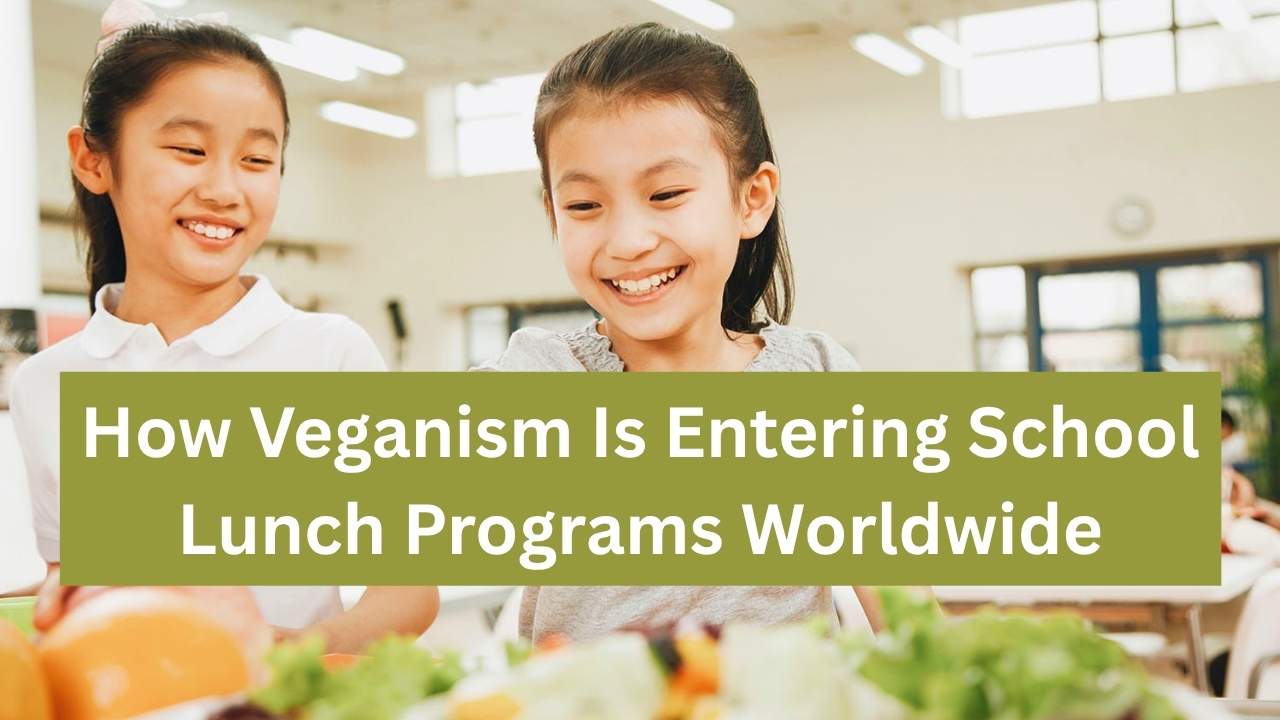How Veganism Is Entering School Lunch Programs Worldwide
